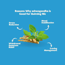 Load image into Gallery viewer, Pure Health Brands Quit-NIC, Quit Smoking Gummies, with Ashwagandha Plus Zen Calming QUITNIC to Help Stop Smoking Gummies, All-Natural - Nicotine Free - Non-GMO, Vegan. 60 Gummies, Value Pack